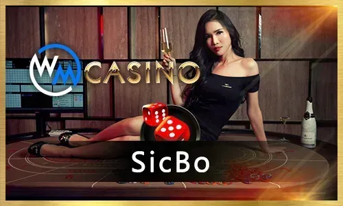 PHBet Bingo Community Features